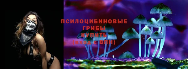 2c-b Костерёво