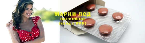 ГАЛЛЮЦИНОГЕННЫЕ ГРИБЫ Корсаков