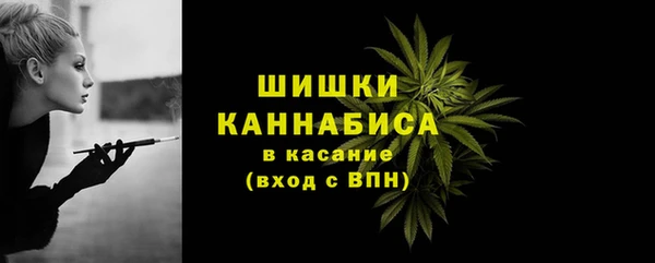 ГАЛЛЮЦИНОГЕННЫЕ ГРИБЫ Корсаков