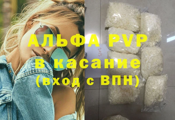 ГАЛЛЮЦИНОГЕННЫЕ ГРИБЫ Корсаков