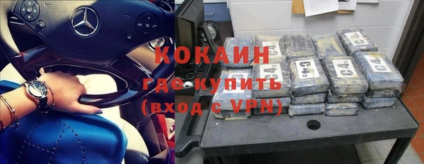 ГАЛЛЮЦИНОГЕННЫЕ ГРИБЫ Корсаков